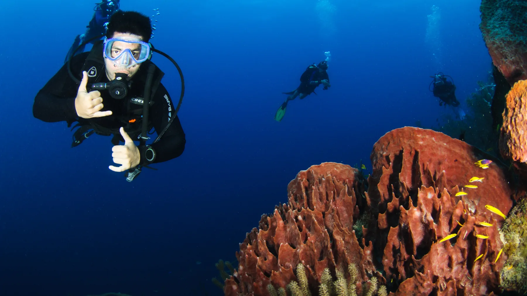 Buzo explorando arrecife en aguas profundas